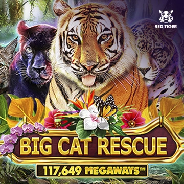 Big Cat Rescue Megaways - LETSEBET77