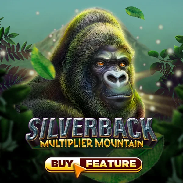 Silverback Multiplier Mountain - LETSEBET77